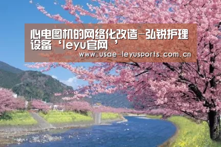 心电图机的网络化改造-弘锐护理设备‘leyu官网 ’(图2) 乐鱼官方首页