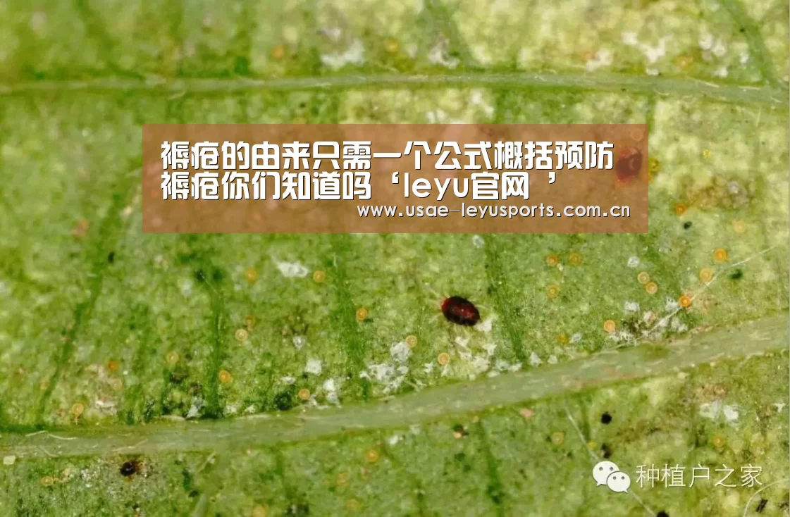 褥疮的由来只需一个公式概括预防褥疮你们知道吗‘leyu官网 ’(图4) 登录入口