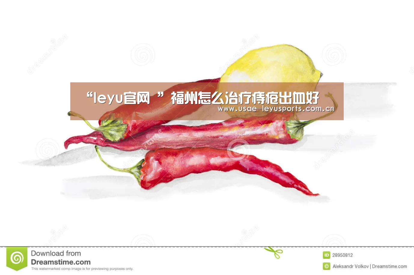 登录入口