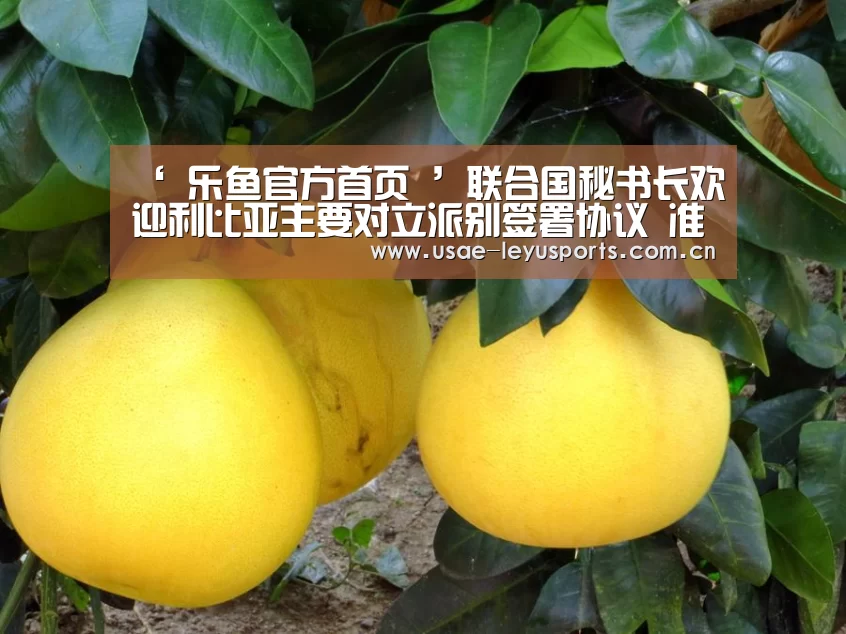  登录入口