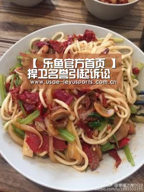  登录入口