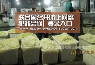 联合国召开防止网络犯罪会议| 登录入口(图2) 登录入口