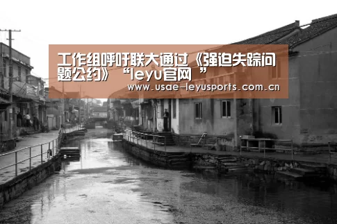 工作组呼吁联大通过《强迫失踪问题公约》“leyu官网 ”(图3) 乐鱼官方首页