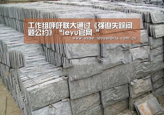 工作组呼吁联大通过《强迫失踪问题公约》“leyu官网 ”(图2) 登录入口