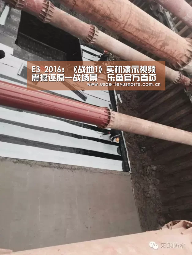  登录入口