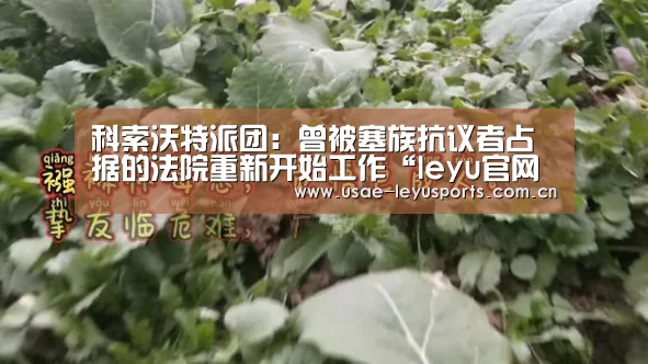 科索沃特派团:曾被塞族抗议者占据的法院重新开始工作“leyu官网 ”(图1) 登录入口